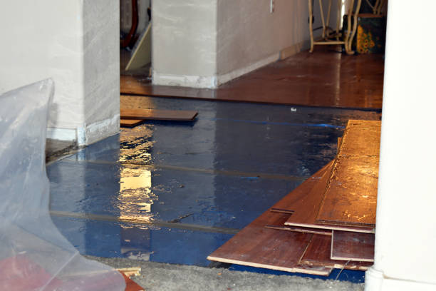 Professional Burst Pipe Cleanup technician working in Westville, OK